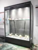 Vetrina espositiva a parete linea ARGURION  "telaio in alluminio".cm152x50x200h.