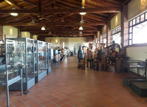 Vetrine espositive per musei della linea Argurion Museo Distillerie Berta 