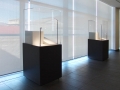 Vetrina espositiva per musei linea Theca